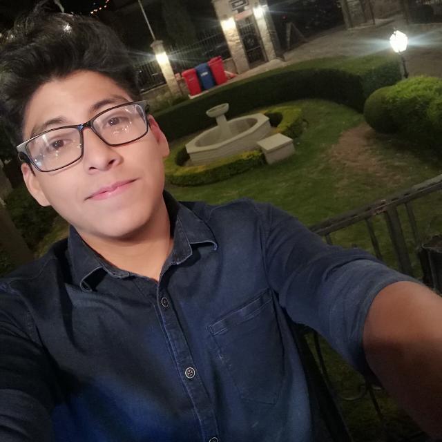 Ing. Daniel Huanca